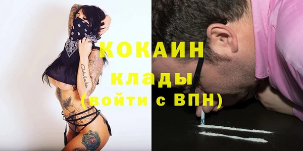 индика Балабаново