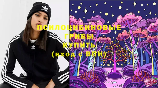 дмт Арсеньев