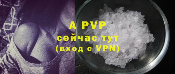 a pvp Аркадак